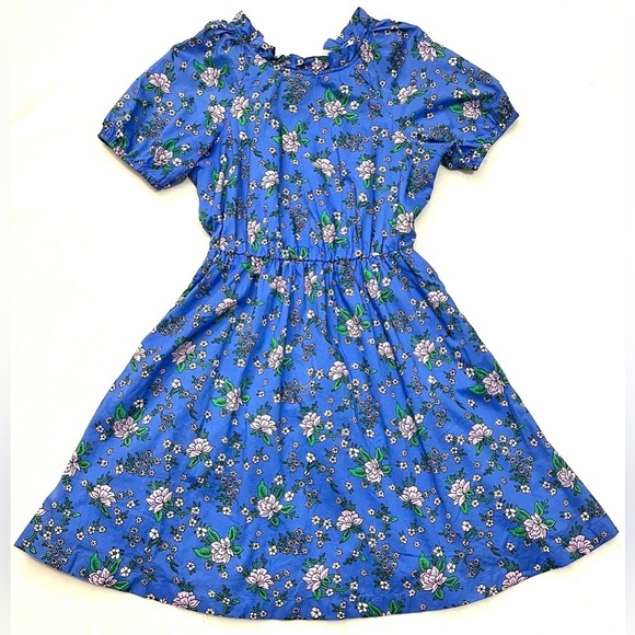 J. Crew Dresses & Skirts - J. Crew Women’s Coastal Blue Tieback Short Sleeve Mini Floral Dress with Ruffle